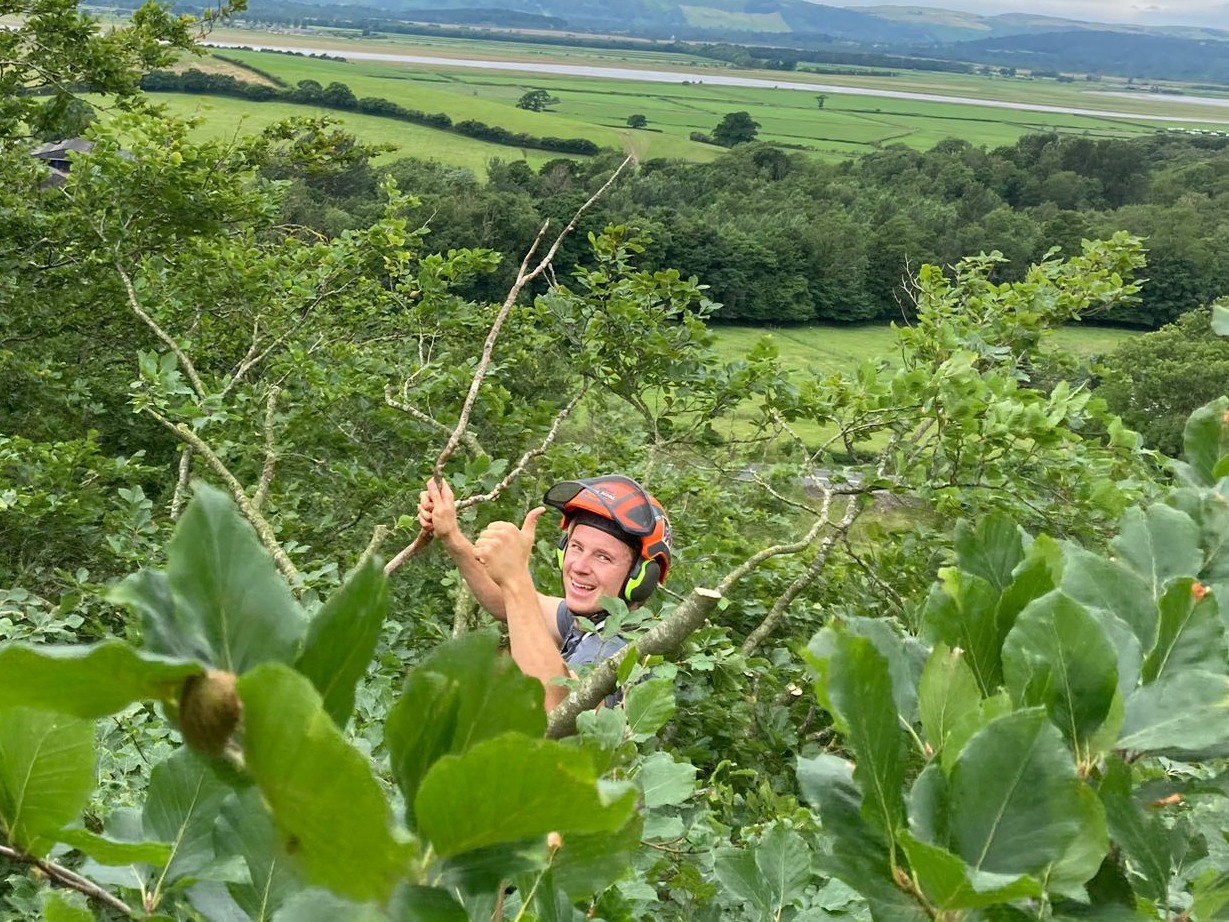 Conrad climbing during a tree surgery job, with countryside views behind him
